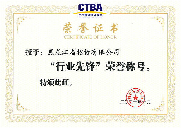 中國招投標(biāo)協(xié)會2021年行業(yè)先鋒稱號_00.png